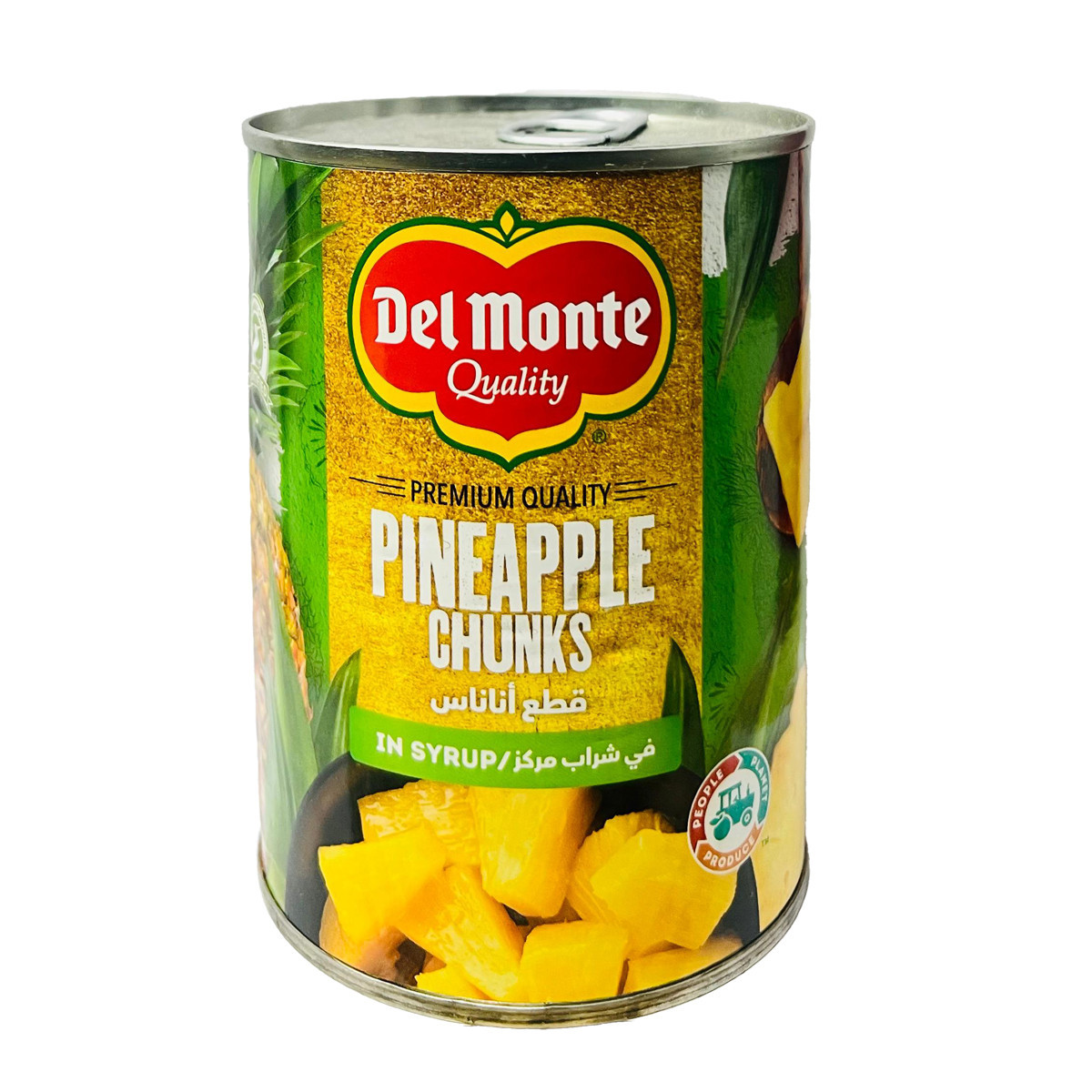 DELMONTE PINEAPPLE CHUNKS IN SYRUP-570GM